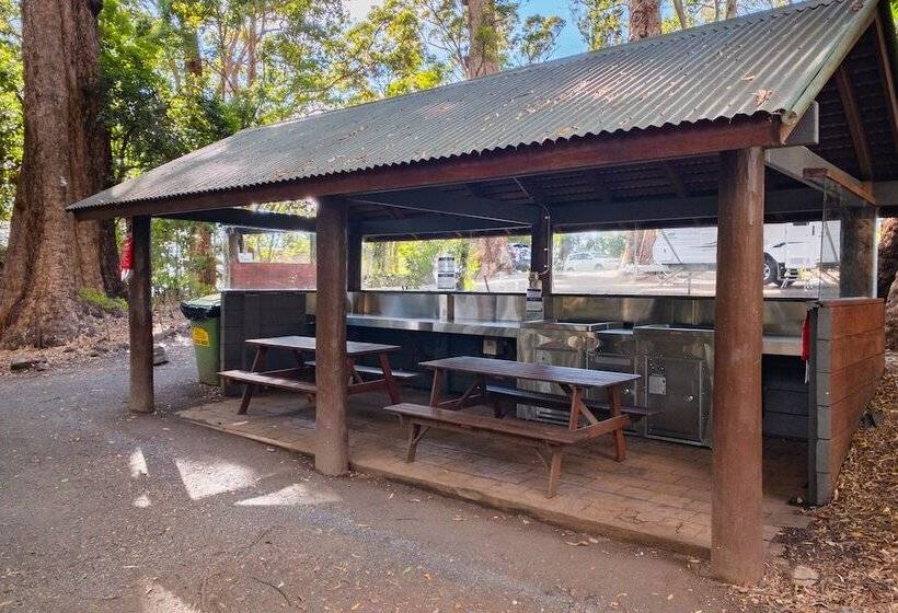 酒店 Binna Burra Rainforest Campsite
