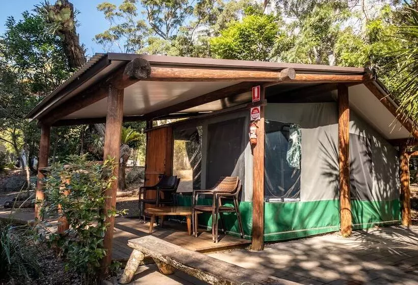 ホテル Binna Burra Rainforest Campsite