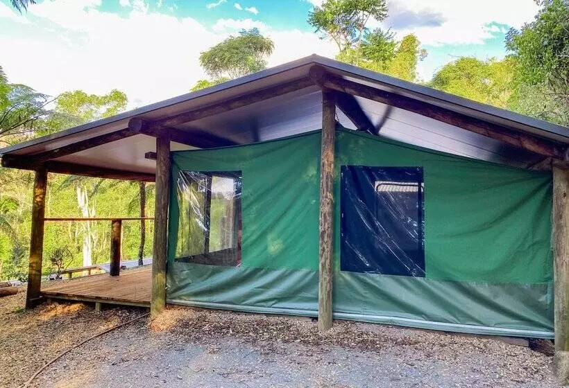 ホテル Binna Burra Rainforest Campsite