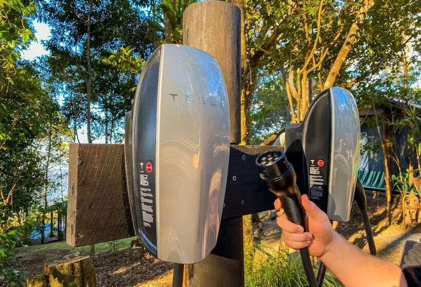 ホテル Binna Burra Rainforest Campsite