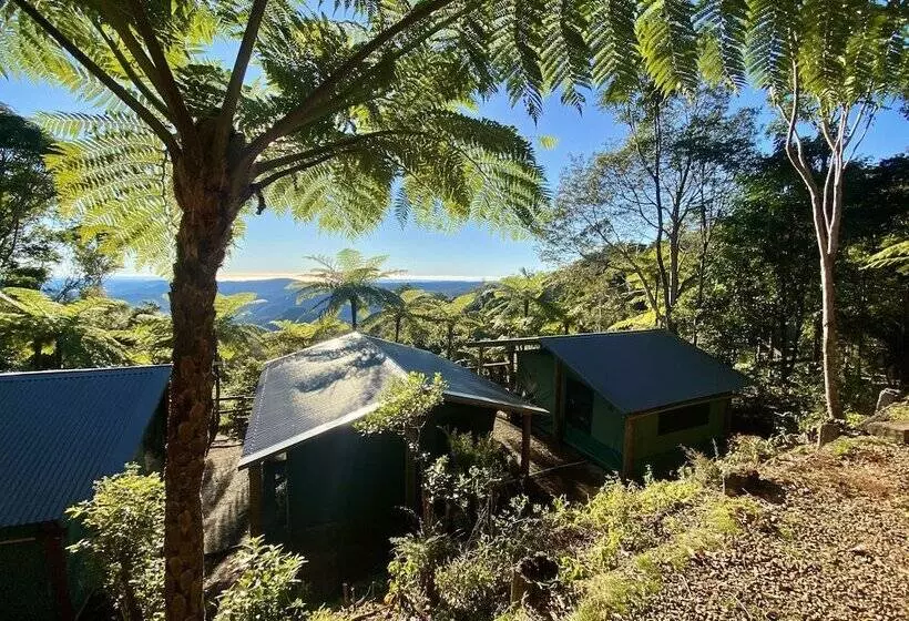 ホテル Binna Burra Rainforest Campsite