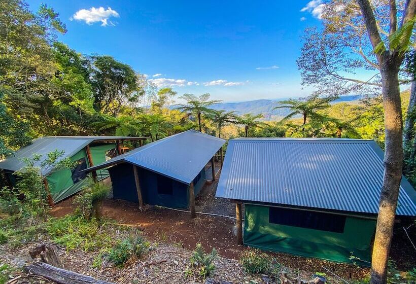 酒店 Binna Burra Rainforest Campsite