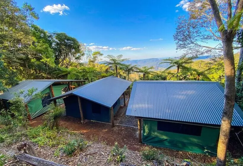ホテル Binna Burra Rainforest Campsite
