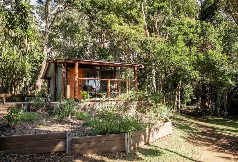 ホテル Binna Burra Rainforest Campsite