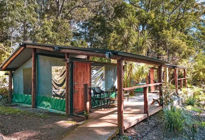 ホテル Binna Burra Rainforest Campsite