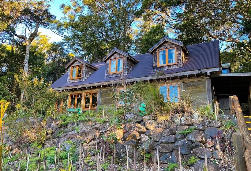 酒店 Binna Burra Rainforest Campsite