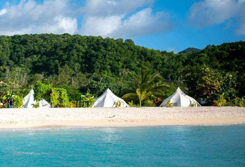 هتل Wild Lotus Glamping