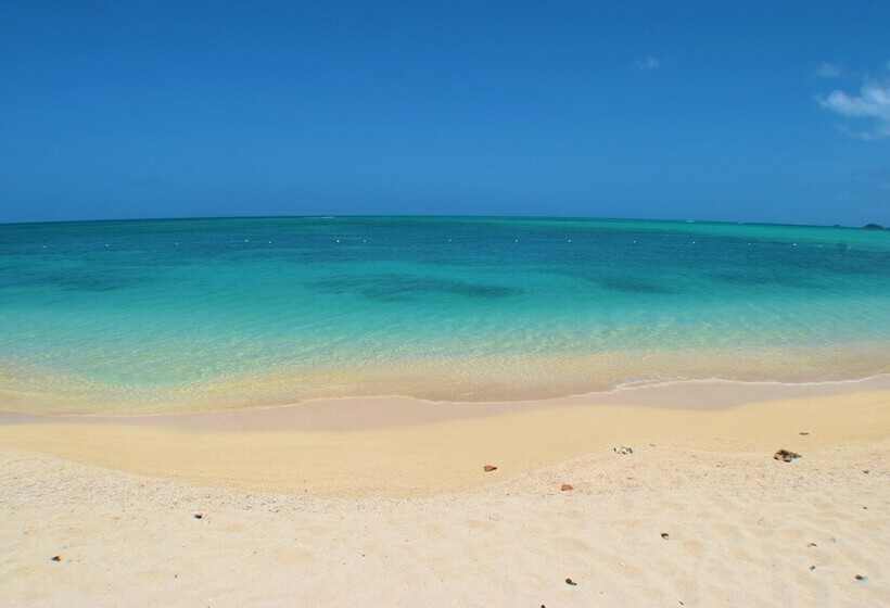 هتل Wild Lotus Glamping