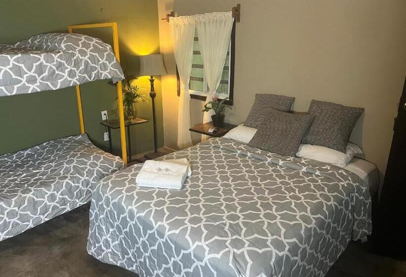 پانسیون Hokhmah Heart