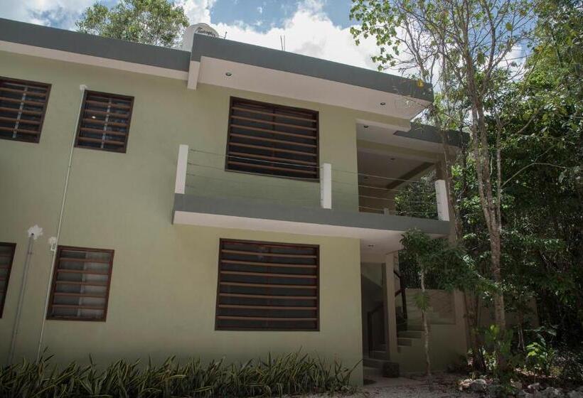 پانسیون Hokhmah Heart