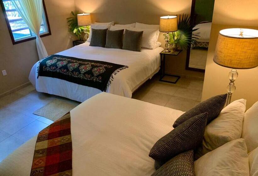 پانسیون Hokhmah Heart