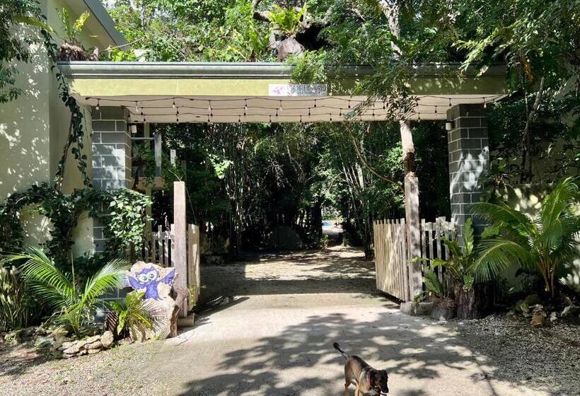 پانسیون Hokhmah Heart