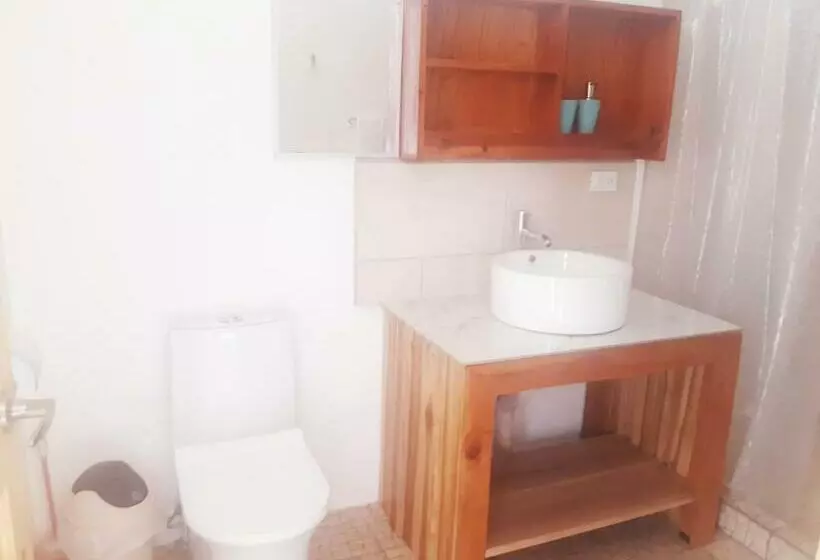 ベッドアンドブレックファースト Cabinas Manolo Drake Bay, Ocean And Forest View