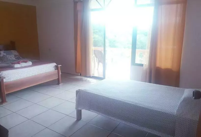 ベッドアンドブレックファースト Cabinas Manolo Drake Bay, Ocean And Forest View