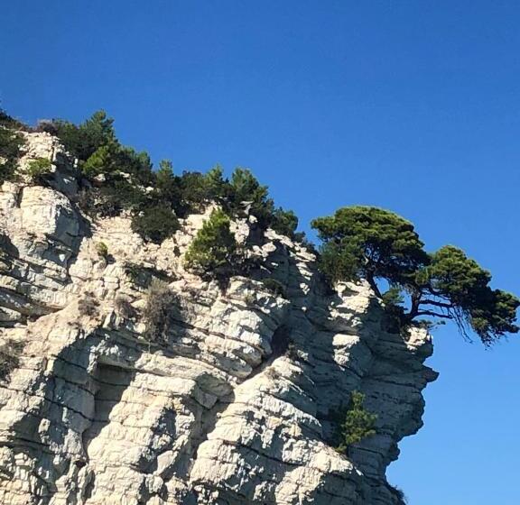 Fiore Bed And Breakfast