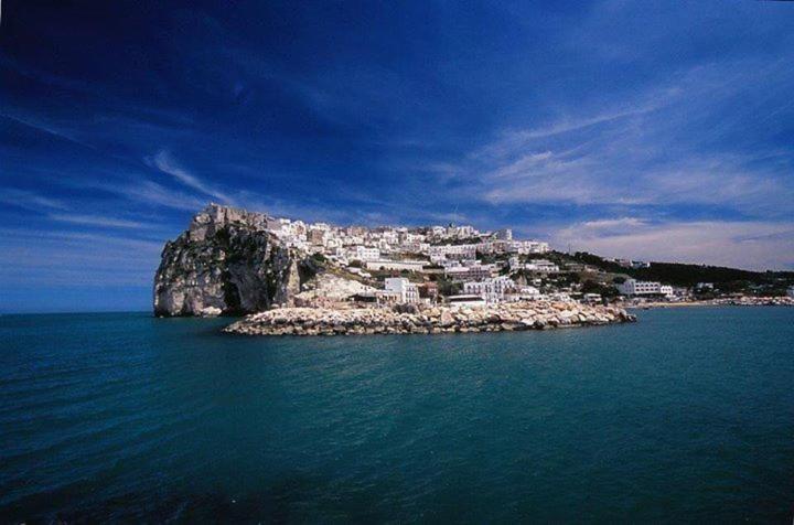 Fiore Bed And Breakfast