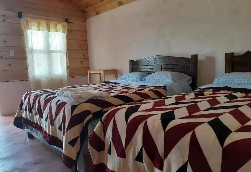 Hotelli Cabañas Liquidambar