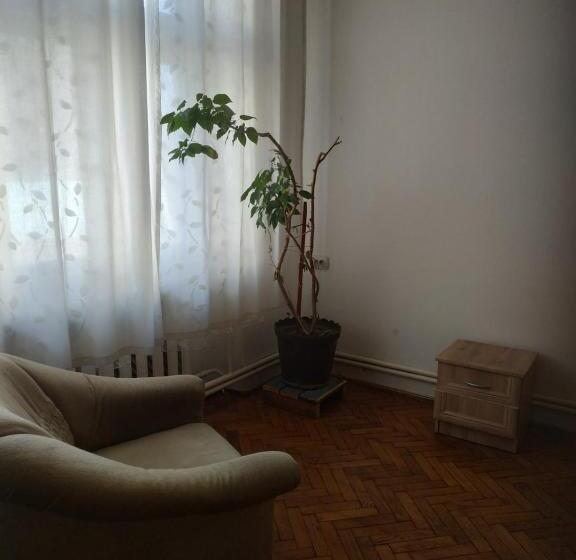 膳宿费 Gelena гостьовий двір