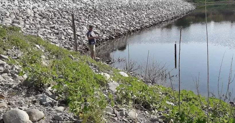 Majatalo Isminis Petroktisto