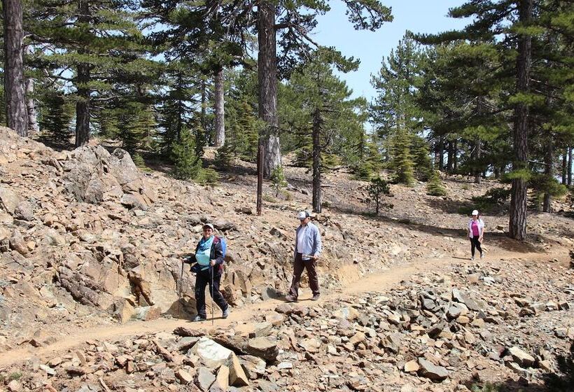 Pensão Isminis Petroktisto