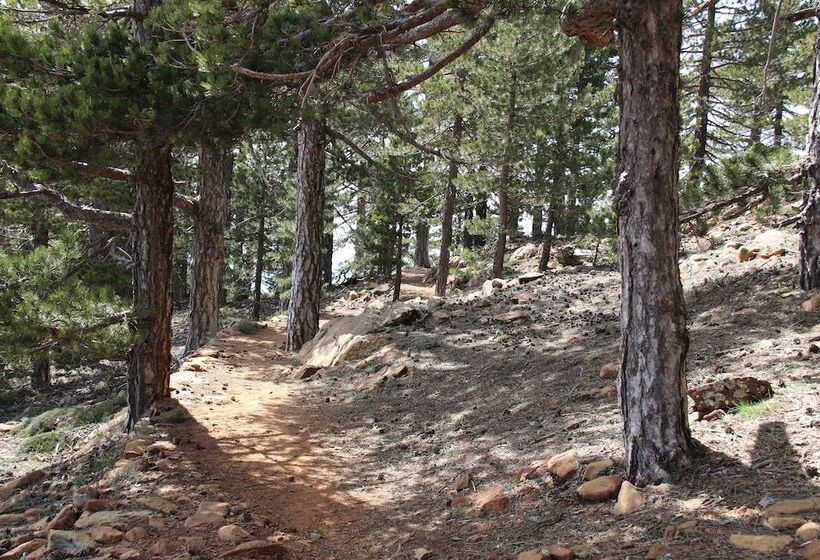 Pensão Isminis Petroktisto