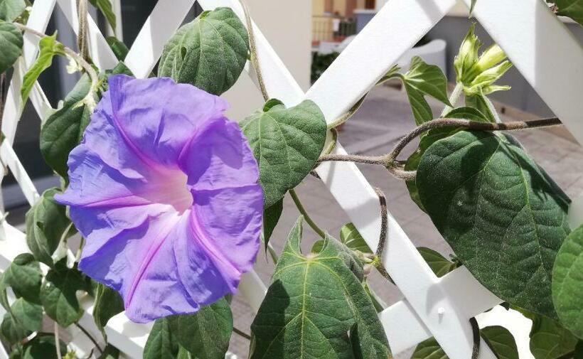 צימר Amare Matera Comfortable Rooms