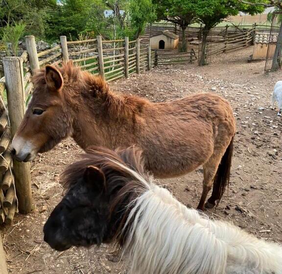 Отель Nature Le Loft
