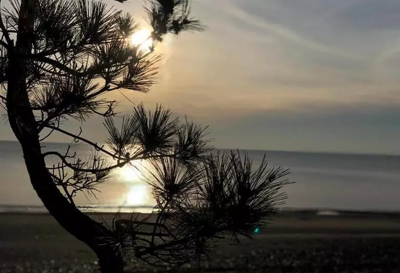 پانسیون Black Sea Two