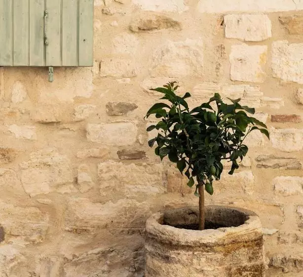 ペンション La Fugue Chambres D Hôtes De Charme , Demeure Historique,piscine,jardin Proche Uzes Nimes Ales