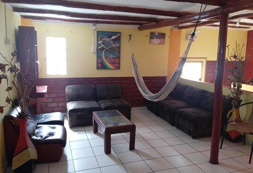 Andes Hostel