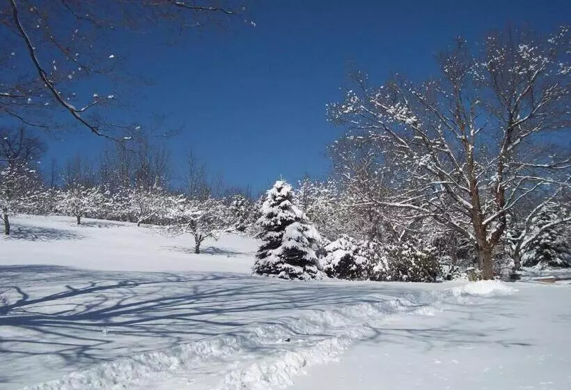 Baneberry Meadows B&b