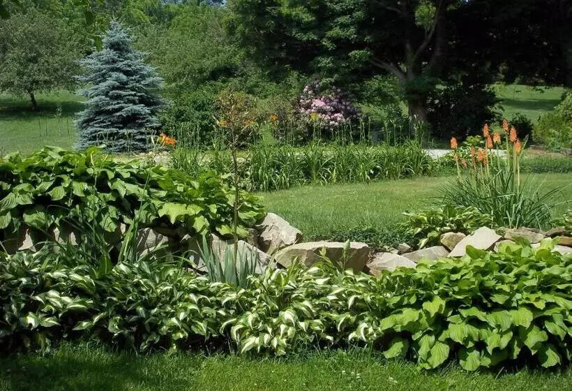 Baneberry Meadows B&b