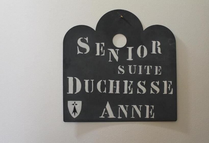 Duc De Bretagne Luxury Appart
