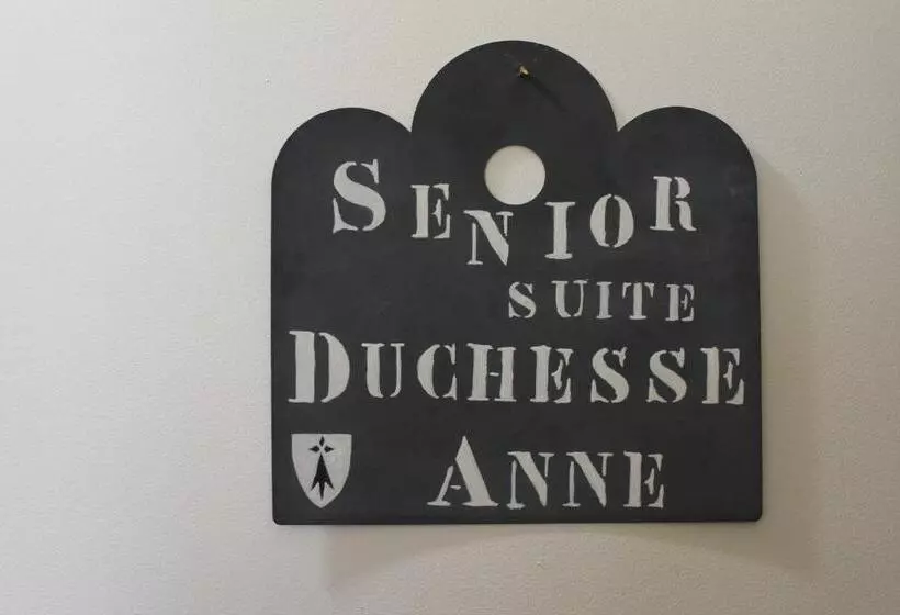 Duc De Bretagne Luxury Appart