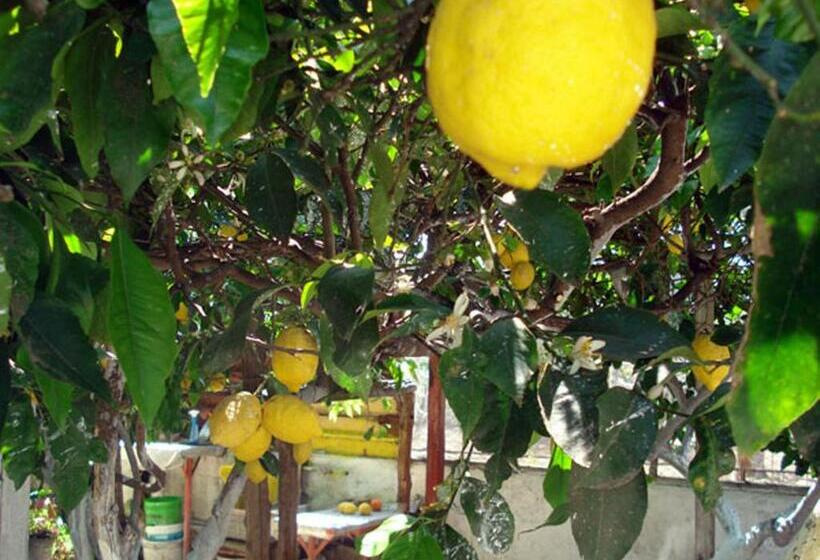 민박 Il Fauno   Suite & Spa