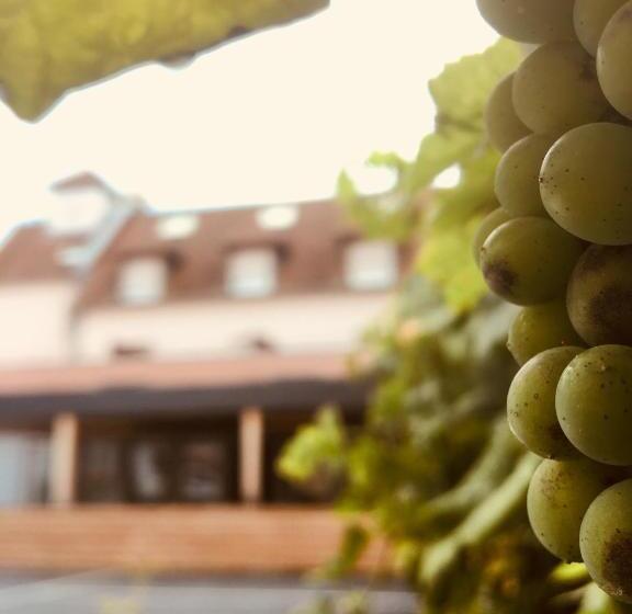 ホテル Colmar Vignes Eguisheim