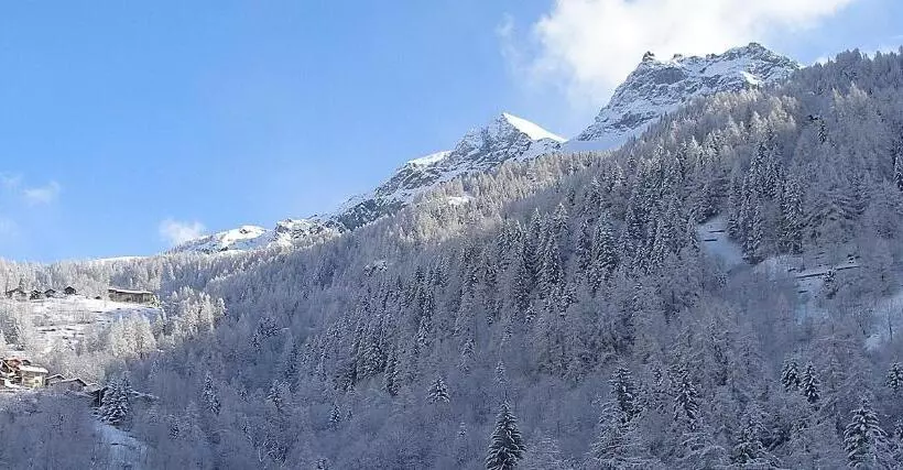 Отель Dama Bianca