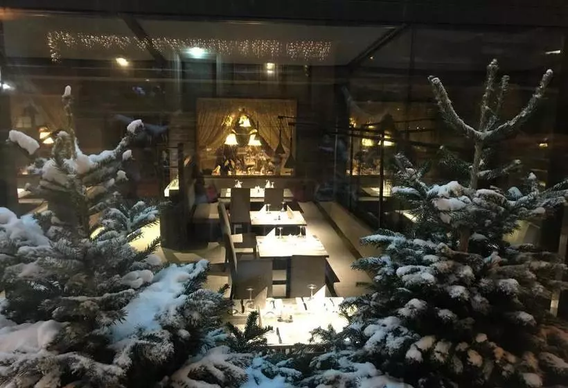 Отель Des Alpes