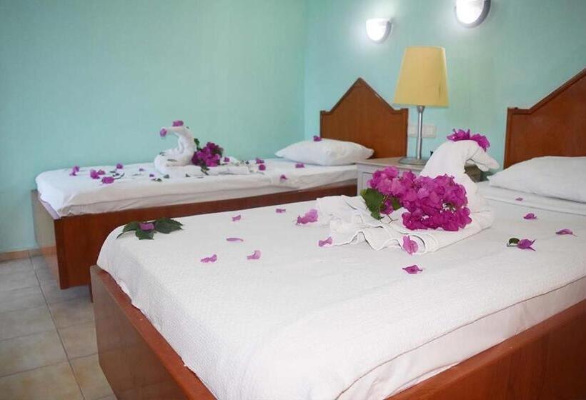 פנסיון Ares City