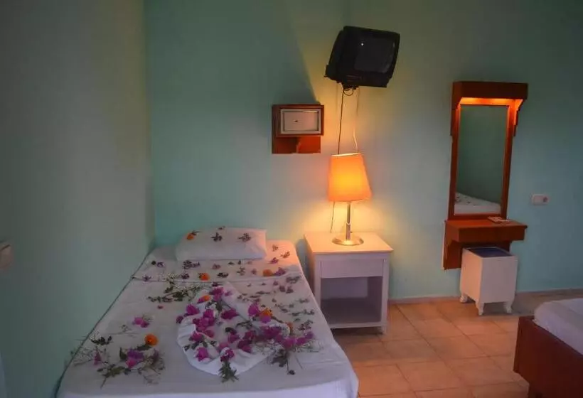 Пансион Ares City