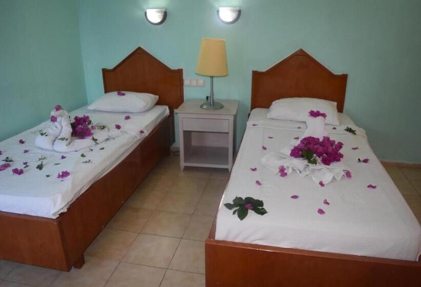 פנסיון Ares City