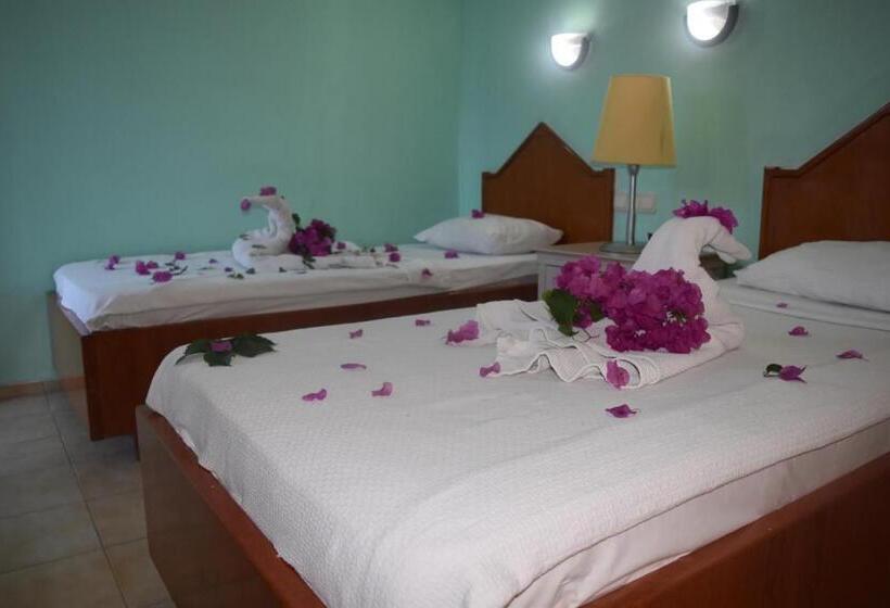 פנסיון Ares City