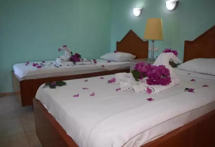 Пансион Ares City