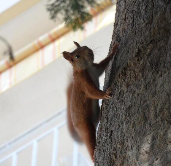 Residence Veles Plage