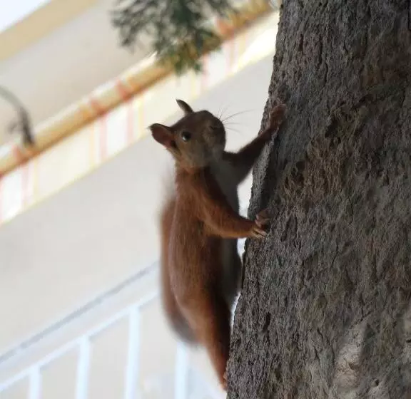 Residence Veles Plage