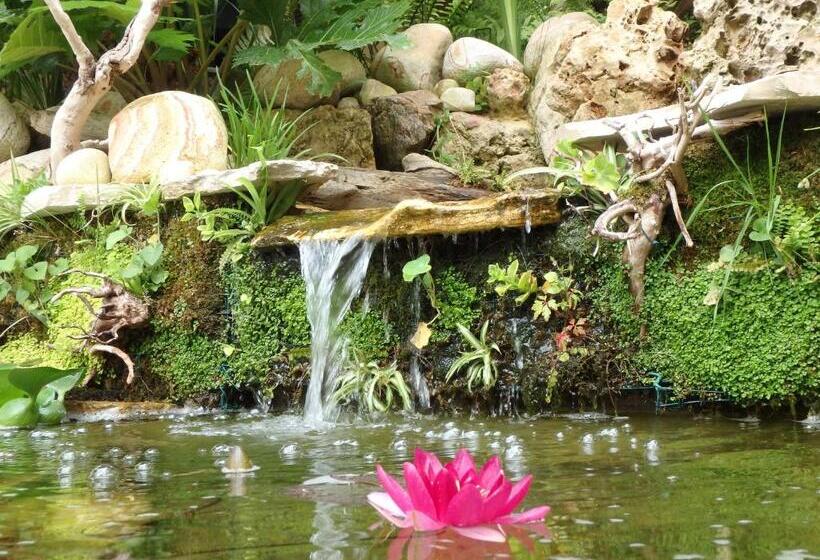 Residence Veles Plage