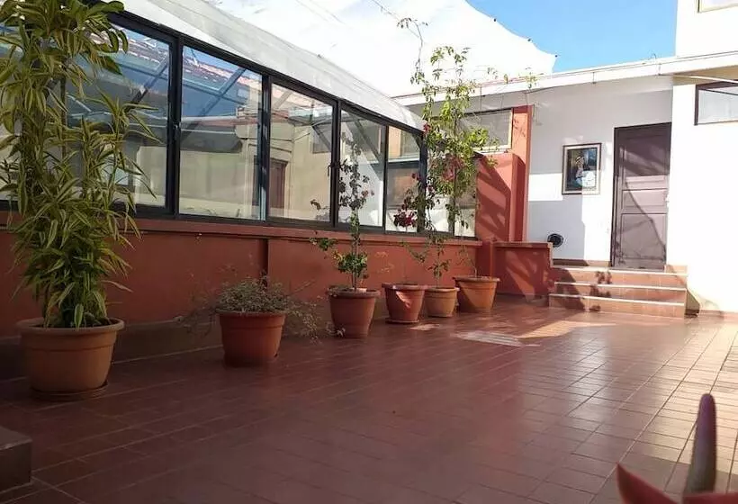 مسافرخانه Carmen