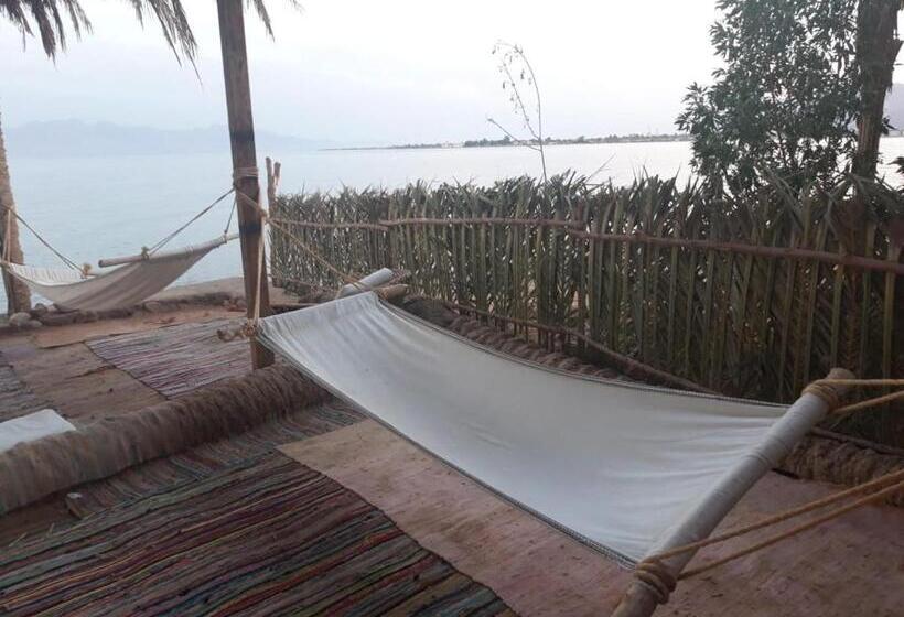 هتل Nakhil Inn Nuweiba