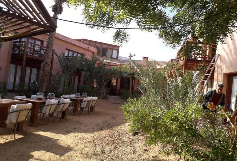 هتل Nakhil Inn Nuweiba