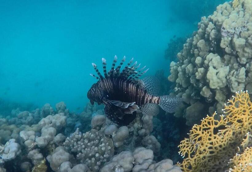 هتل Nakhil Inn Nuweiba